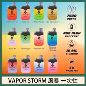 Vapor Storm風暴電子煙7500口（5%）一次性